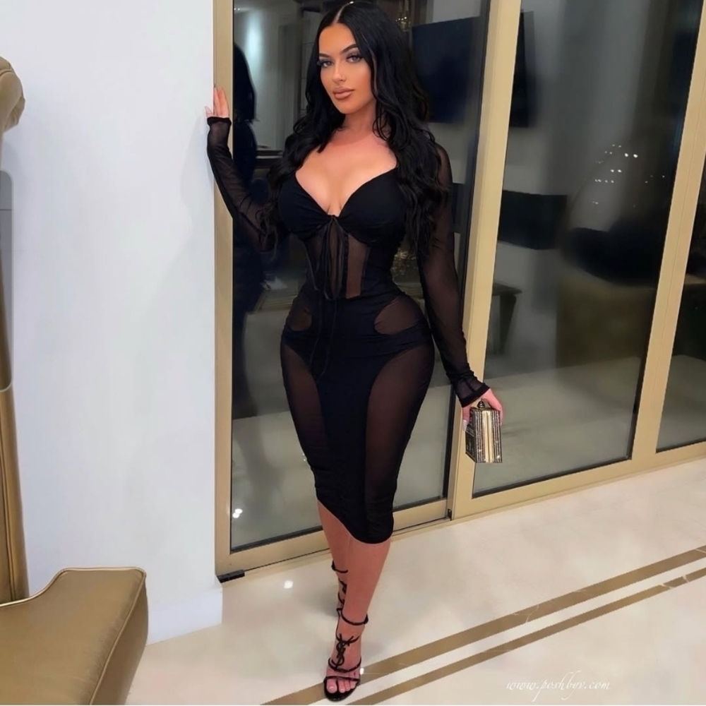 NEW! Chic Black Sheer Long Sleeve Dress